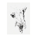 11.tif